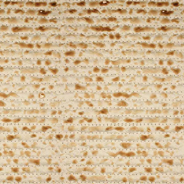 Matzoh II Cocktail Napkin | 20 Pack